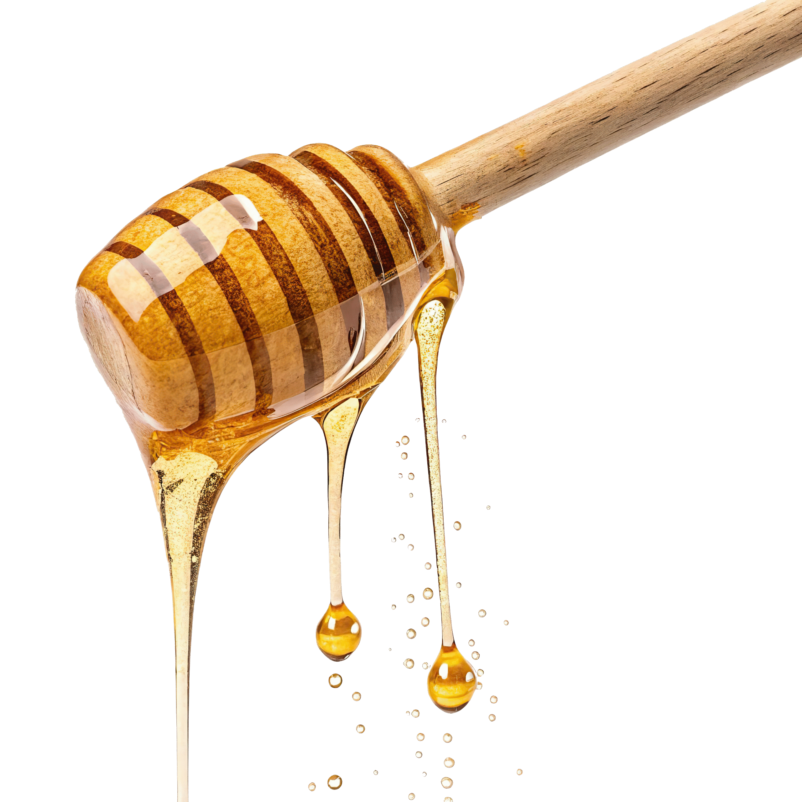 vecteezy free new honey dripping from a wooden stick on a transparent 59037063